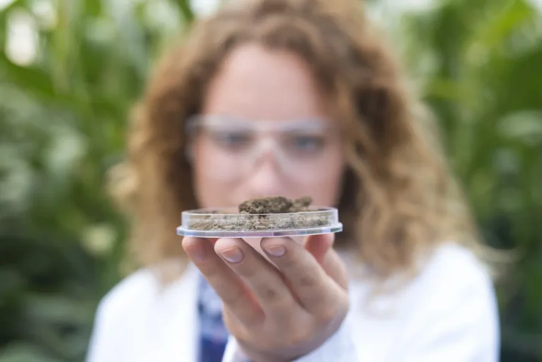 cover banner for blog title Caught With Cannabis